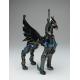 Chevaliers du zodiaque - Myth cloth - Coffret Black Pegasus & Black Andromeda - Bandai