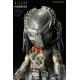 Predator - Figurine Alien vs Predator - Three B hot toys