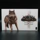 Conan extension - giant wolves board game core box– Asmodee - Monolith