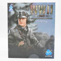 WWII - Hermann Hanke 80077 - 1/6 scale collectible figure - Did