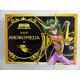 Chevaliers du zodiaque-Shun d'Andromède-Bandai