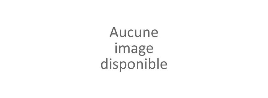 Véhicules